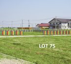 lot-75
